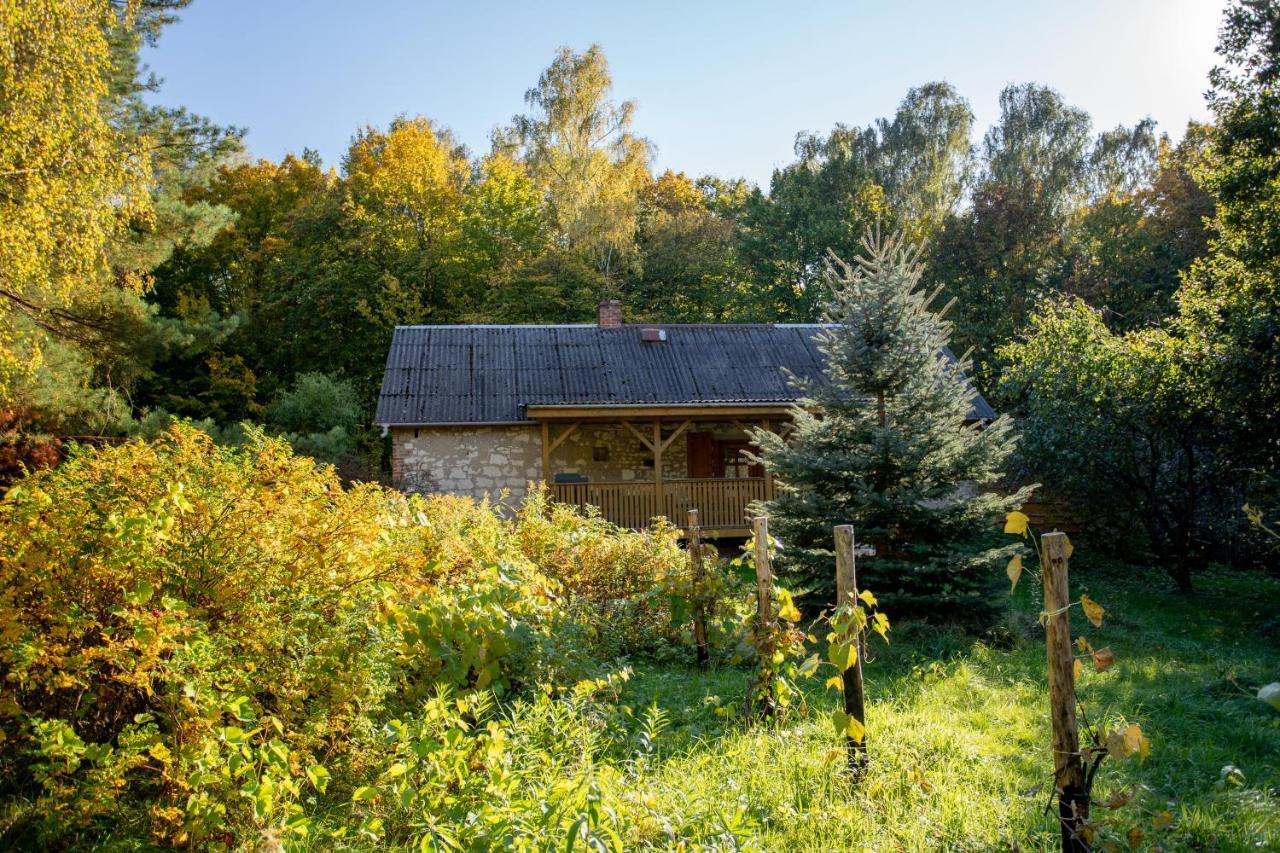 Agroturystyka Siedlisko Wydry - Dom W Srodku Lasu Wierzchoniow エクステリア 写真